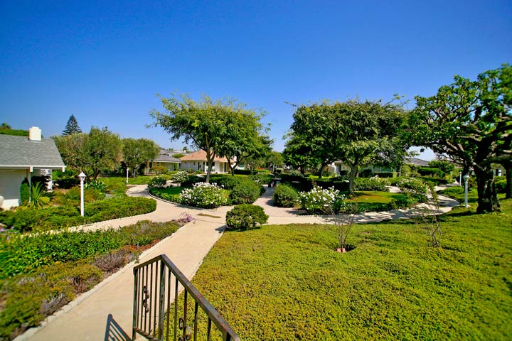 Colony Cove Neighborhood in San Clemente, California